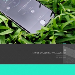 Animation Mockups for Version 2